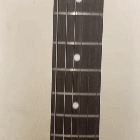 "Seal" Rose | HeadSnaps™ Official - HeadSnaps®