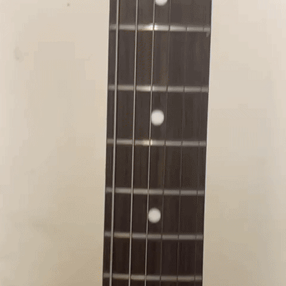 "Seal" Rose | HeadSnaps™ Official - HeadSnaps®